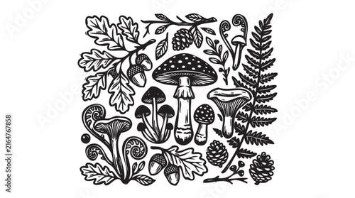 Hand drawn foraging illustration of wild mushrooms and fungi. Vintage engraved style macro vector artwork featuring edible toadstools, pinecones, oak leaves and ferns. Natural food collection