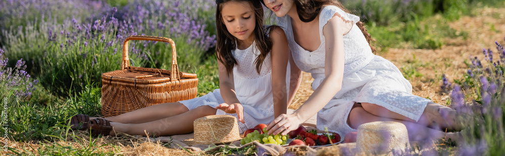 Fototapeta premium A happy mother and daughter having picnic in a blooming lavender field, banner