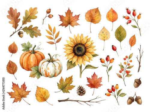 Watercolor Autumn Elements Set with Pumpkins Sunflower and Fall Leaves Isolated on White