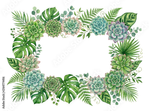 Watercolor succulent and tropical leaf frame border isolated on white background