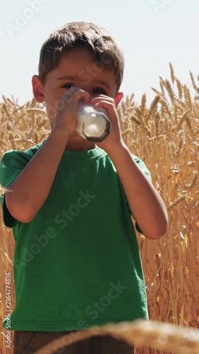 Child drinking fresh milk in wheat field during sunny summer day. Natural food concept highlights healthy nutrition, wholesome lifestyle and connection between farm products and childhood well-being.