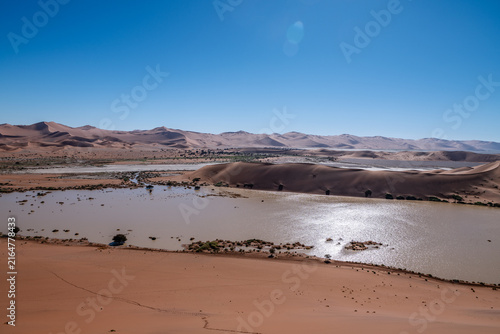 Quadro su tela Ephemeral Lake in Sossusvlei