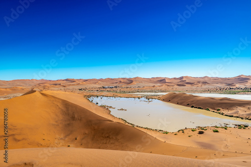 Quadro su tela Ephemeral Oasis in Sossusvlei