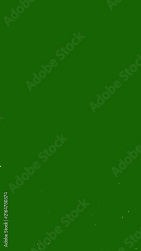 Vertical_Realistic Gold confetti explosion and falling slowly animation on green background, confetti explodes and fall of confetti in 4K, 3D animation