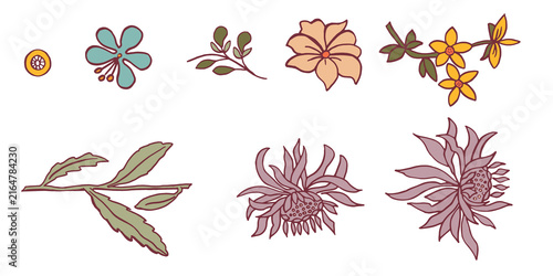 Botany orange slate blue, soft mauve, mustard yellow, warm beige, sage green, leavs branches and flowers. Beautiful hand drawn black and white design template. Botanical set no background