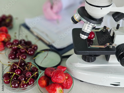 Research on fruit quality using a microscope in a laboratory