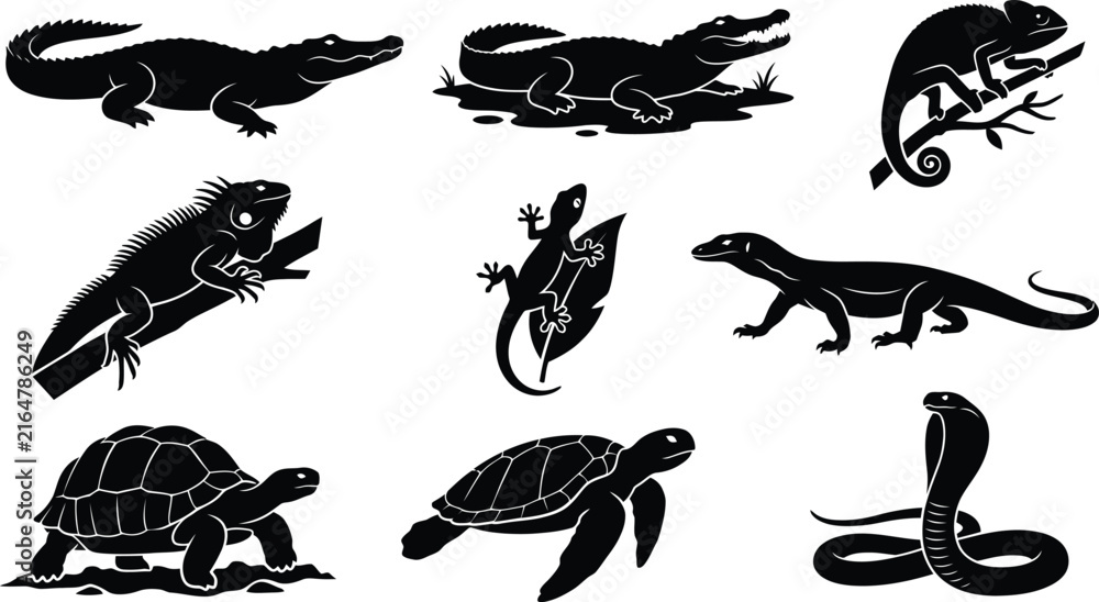 Fototapeta premium Reptile and Amphibian Silhouette Collection Featuring Crocodile, Chameleon, Lizard, Turtle and Cobra in Various Natural Poses on White Background