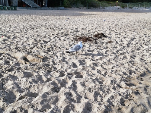 Na plaży 