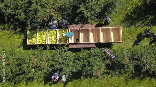 Smooth descent above apple sorting workers