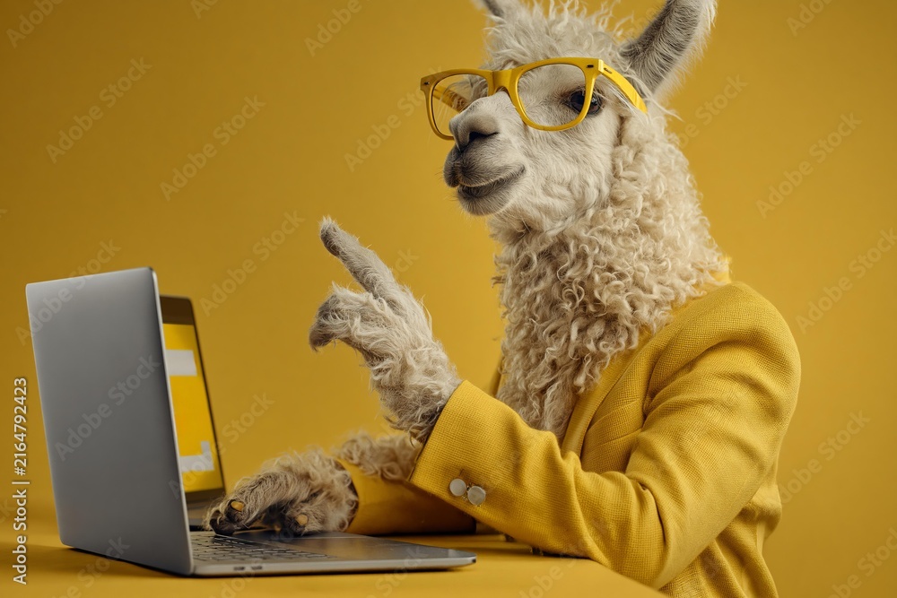 Naklejka premium Smart alpaca wearing yellow glasses and matching suit jacket using modern laptop computer sitting at desk against yellow background