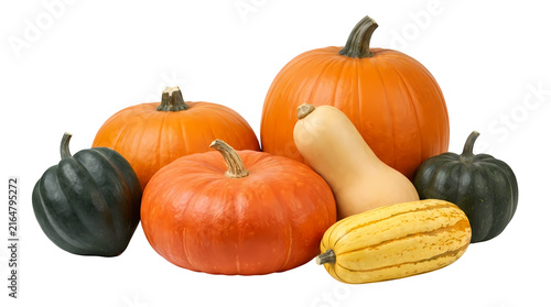 Assortment of fresh pumpkins and squashes for autumn harvest and decoration.