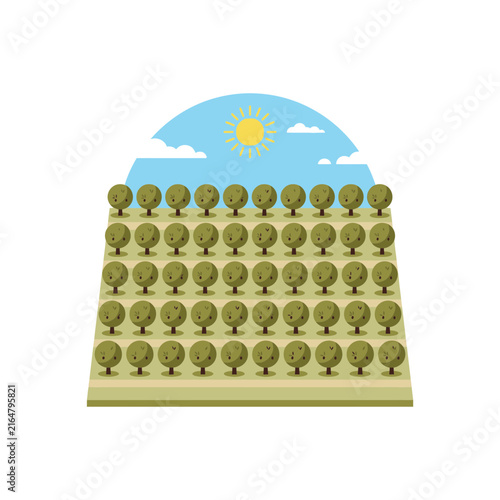 фотографія Flat vector illustration of a neat agricultural orchard with many fruit trees un