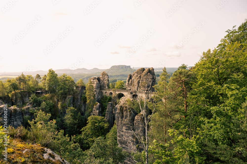 Obraz premium Blick durch grüne Baumwipfel auf die historische Basteibrücke, die sich malerisch über die tiefen Felsenschluchten spannt.