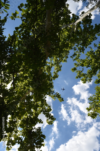 airplane sky trees clouds travel
