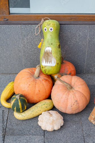 Decorative gourds and pumpkins arranged as a playful autumn display