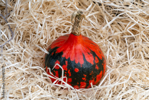 Decorative red and black pumpkin resting on natural straw background