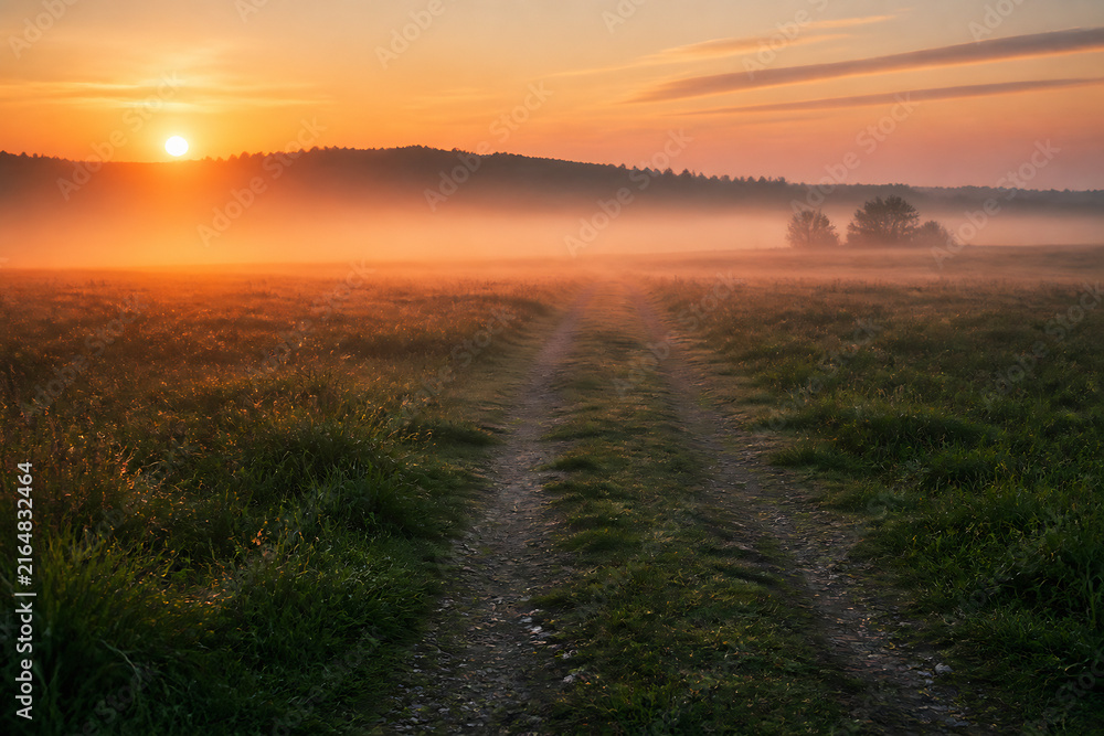 Obraz premium A misty sunrise over a grassy field with a dirt path leading into the fog.