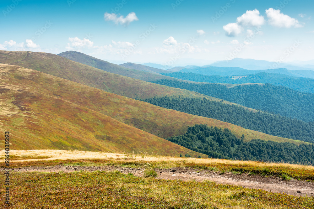 Fototapeta premium carpathian mountain landscape in late summer. scenic alps of ukraine in the afternoon. background image for hiking through borzhava ridge