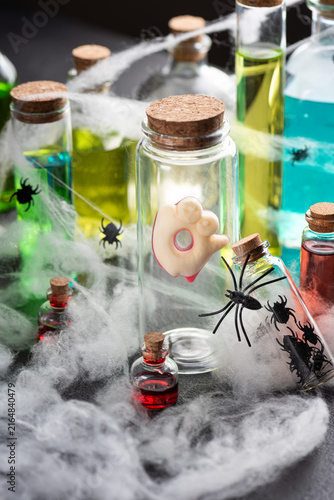 Obraz na płótnie Halloween spooky laboratory potion bottles with spiders and cobwebs for a festiv