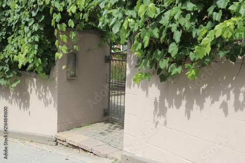 Sidewalk and facade of house with vegetation in the old Quebec. Architecture in the old Quebec and outdoor wall of a house.
