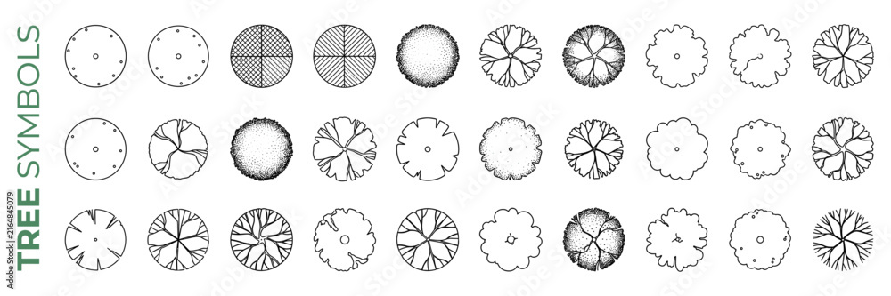 Fototapeta premium Top view architectural tree symbols for floor plans featuring round organic canopy forms, clean CAD landscape drafting graphics for garden, park and site plan design