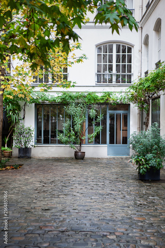 Potted green plants in a paved patio