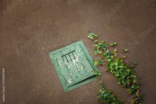 Vegetation is encroaching on the crumbling facade of the squat