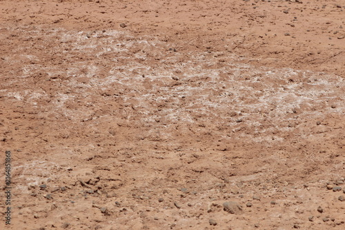 Quadro su tela white salt deposits spreading across dry desert soil