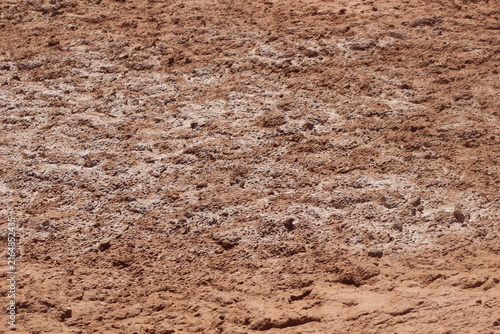 Cuadro en lienzo white salt deposits spreading across dry desert soil