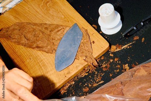 Obraz na plátně Dried Tobacco Leaves on Wooden Surface with Rolling Tray