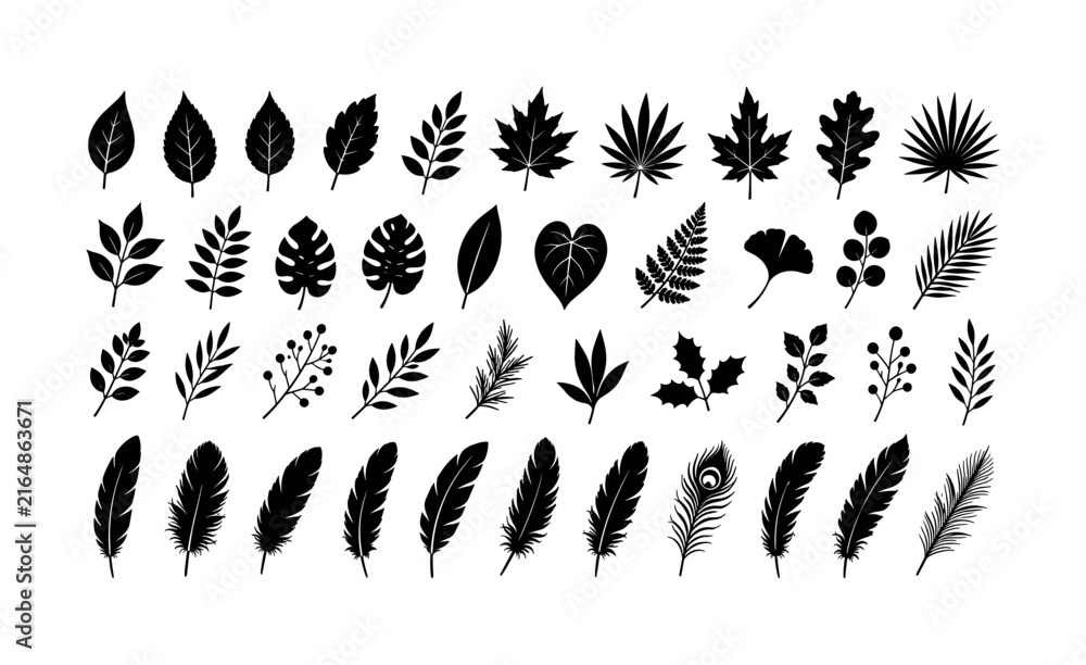 Obraz premium Collection of black silhouette leaves and feathers on a white background