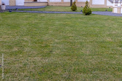 Obraz na płótnie Grass Lawn at Cultivated Garden in Craiova Romania Spring Day