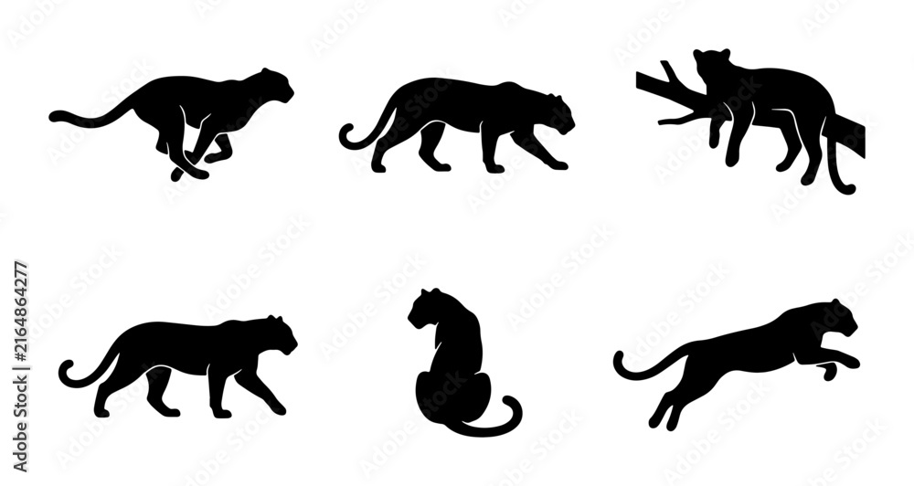 Obraz premium Six Silhouette Big Cat Vector Icons, Panther and Leopard Poses, Wild Animal Graphic Set, Black Feline Wildlife Collection