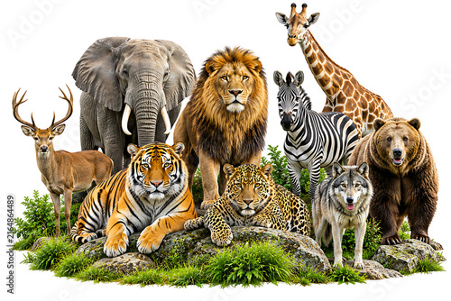 Group of wild african safari animals standing on green grass isolated on white background