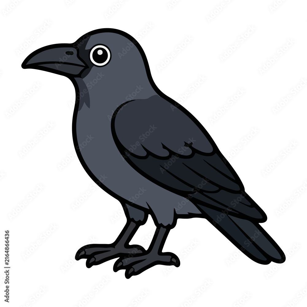 Fototapeta premium Cute dark grey crow bird vector illustration for wildlife animal and cartoon avian character