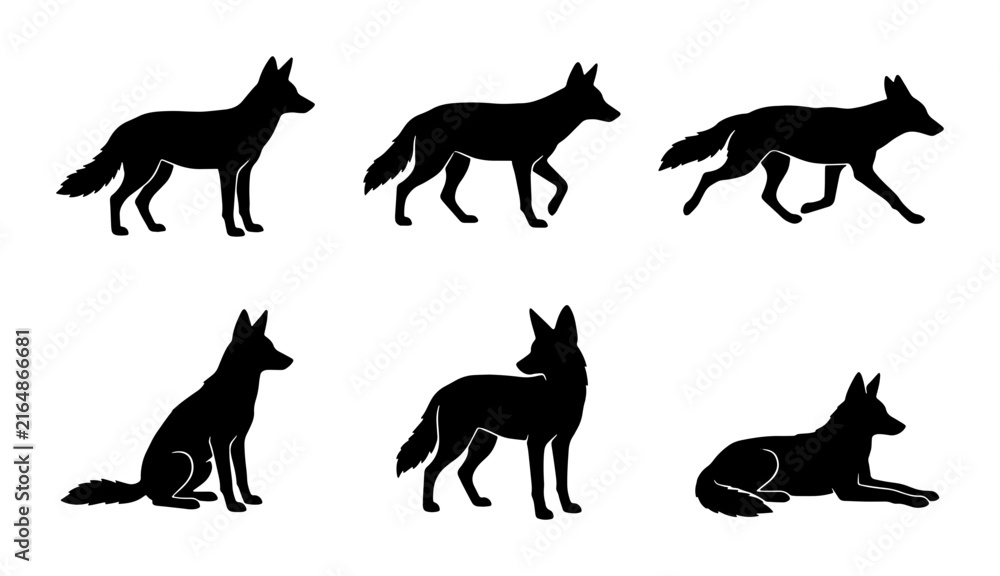 Obraz premium Coyote Silhouettes: Six Poses, Wild Canine Vector Icons, Nature Wildlife Animal Art