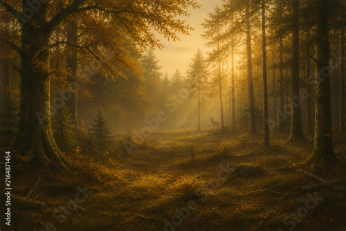 Misty Autumn Forest with Golden Sunlight – Woodland Landscape, Wilderness and Atmospheric Nature Background