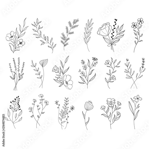 Minimalist Fine Line Botanical Foliage Elements Vector Artwork