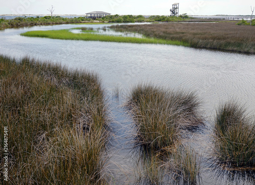 Big Lagoon State Park Estuary View to the Beach