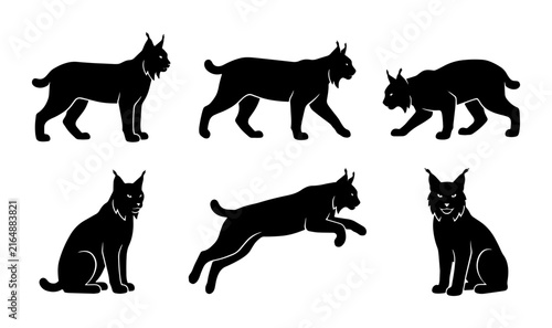 Canvas Print Lynx Silhouette Collection, Wild Cat Vector Icons, Feline Animal Poses, Black Gr
