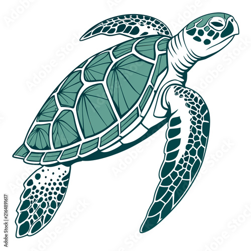 Sea turtle swimming with teal and dark green shell pattern isolated on a white background, marine life