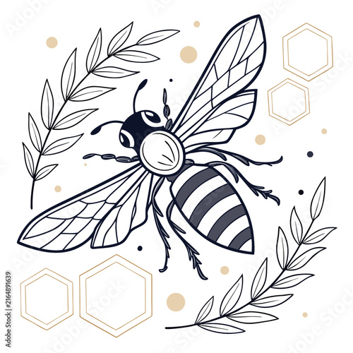 Honey bee with hexagonal honeycomb shapes and leafy branches on a white background, insect nature