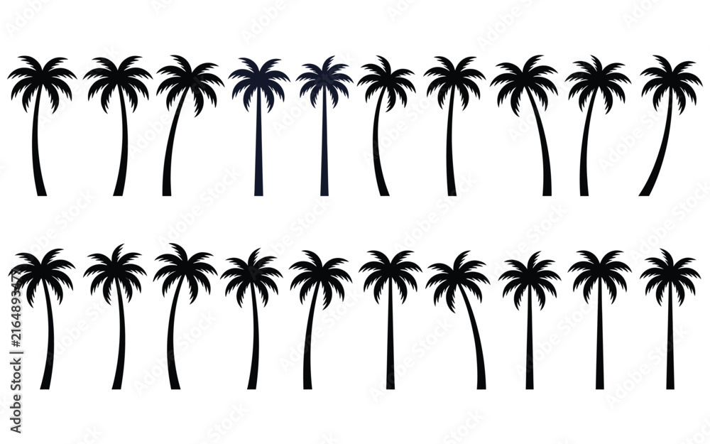 Naklejka premium Palm tree silhouette collection featuring black tropical plant icons isolated on transparent background.