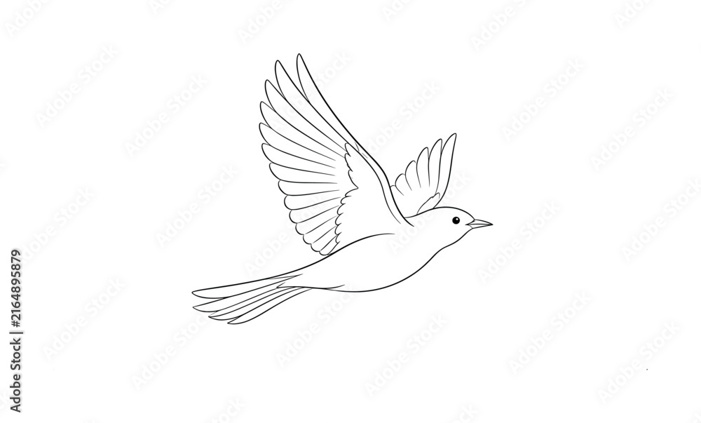 Fototapeta premium Minimalist line drawing of a bird in graceful flight with wings spread wide
