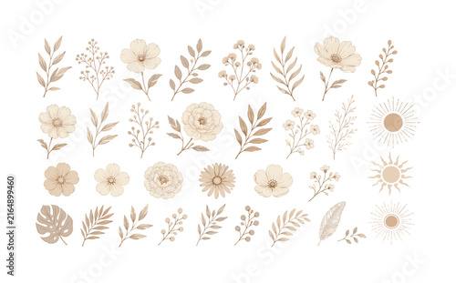 Bohemian botanical elements with flowers, leaves, and sunbursts in sepia tones
