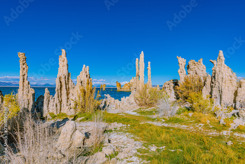 Slender limestone tufa spires rise among grasses at Mono Lake's South Tufa Reserve.
