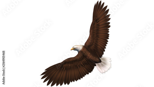 Majestic bald eagle soaring with spread wings isolated on white
