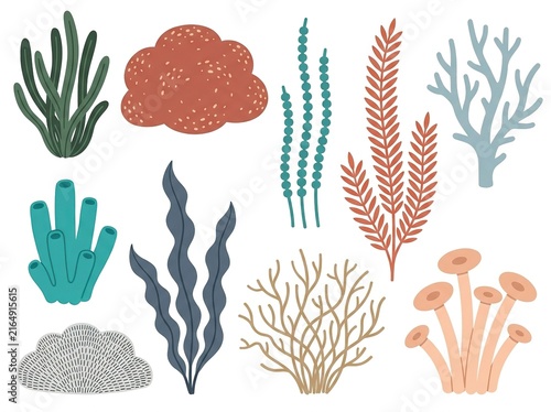 Set of cute cartoon corals and seaweeds isolated on white background