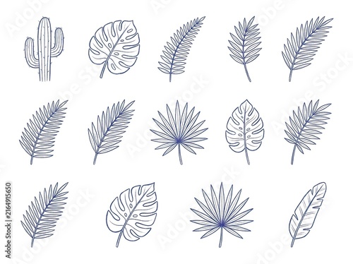 Set of hand drawn tropical leaves and cactus isolated on white background
