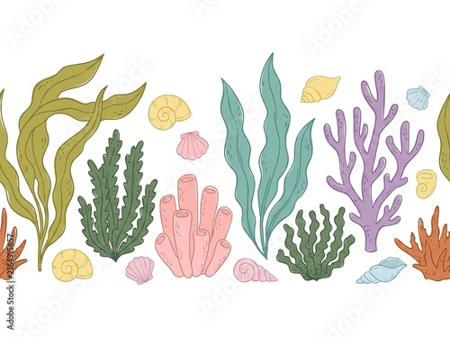 Seamless border pattern with colorful seaweeds, corals and shells isolated on white background